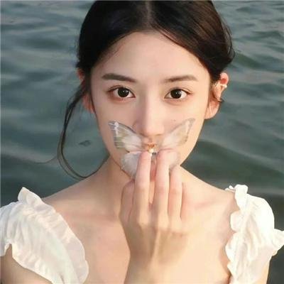 精武风云.陈真
